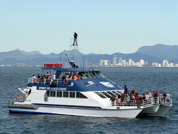 Spirit Vessel, Gold Coast, Queensland, Australia