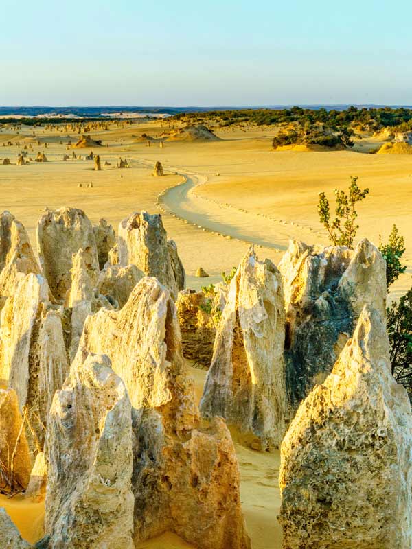 The Pinnacles, WA Icon