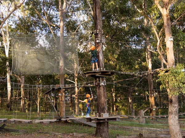 Children enjoying the action at TreeTops Adventure Park, Abbotsbury in Sydney's south west. (Image: Destination NSW)