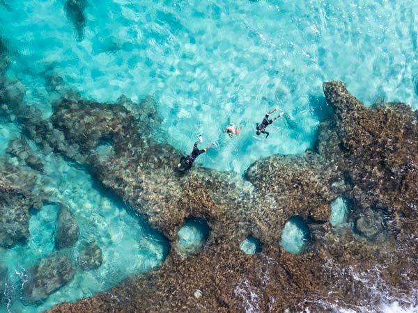 Coral Bay snorkelling