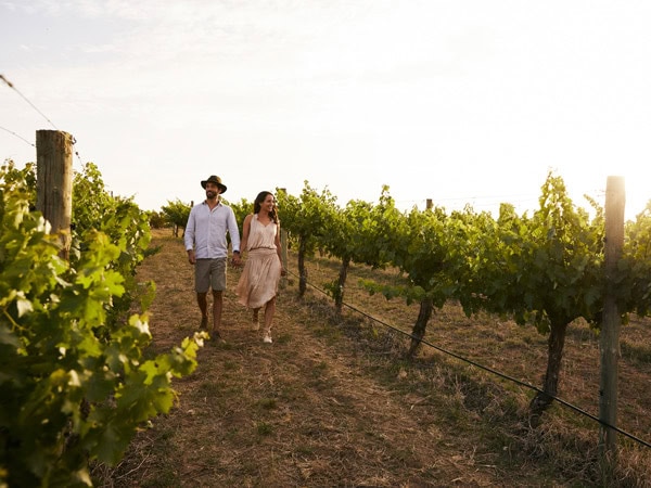 a couple walking along the vineyard in De Beaurepaire Wines