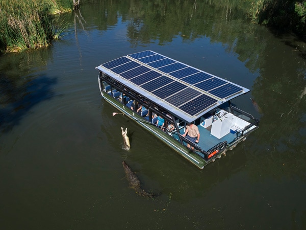 Aerial view of crocodile feeding from the boat cruise. (Image: Tourism and Events Queensland)