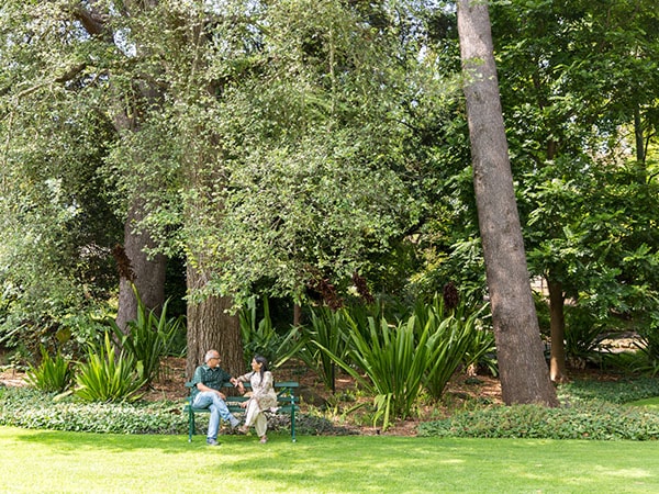 Geelong Botanic Gardens, VIC, Australia