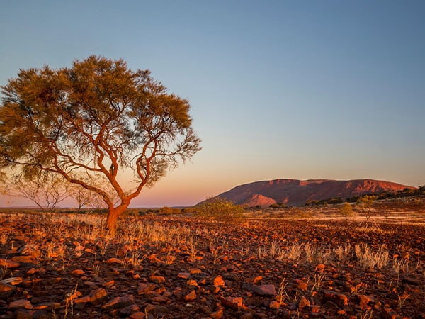 Gunung Augustus, Pedalaman Emas, Australia Barat