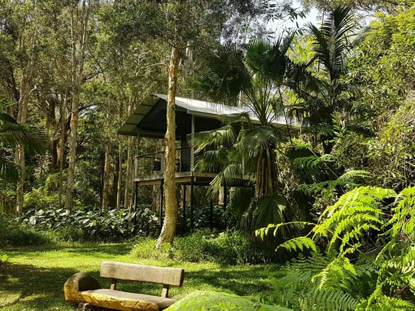 A treehouse retreat. (Image: Diamond Waters Treehouse Retreat)