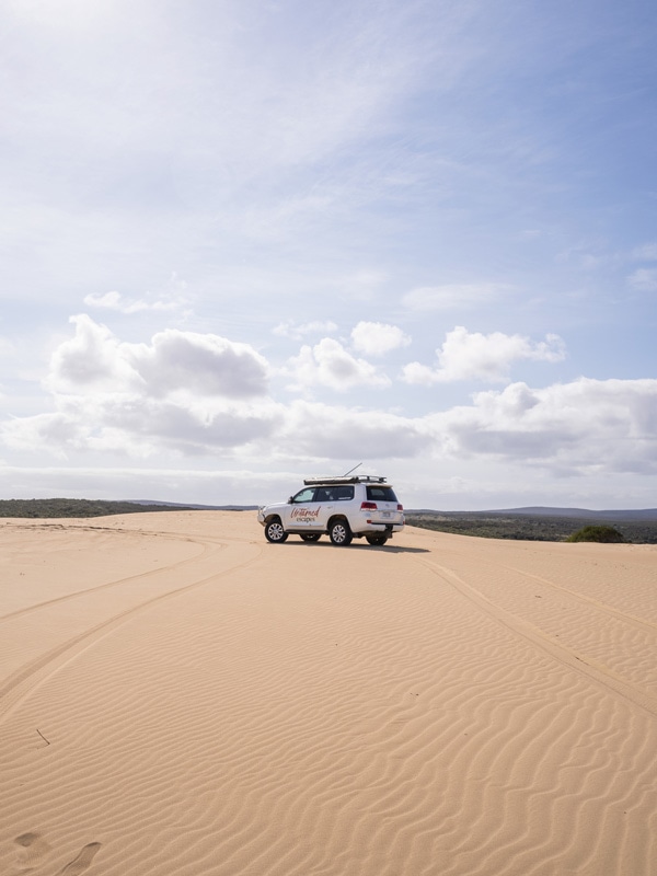 A 4WD on Untamed Escapes. (Image: Riley M Williams)