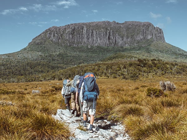 The Overland Track is an Australian bushwalking track, traversing Cradle Mountain-Lake St Clair National Park, within the Tasmanian Wilderness World Heritage Area. It's walked by more than nine thousand people each year, with numbers limited in the warmer months (Image: Tayla Gentle)