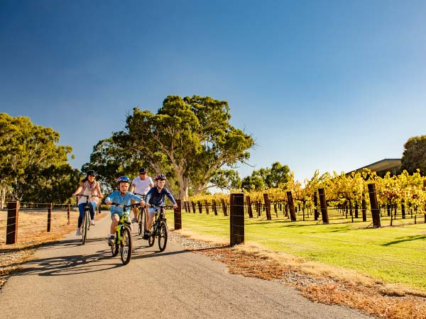 Cycling near the vineyards, Barossa Valley, SA