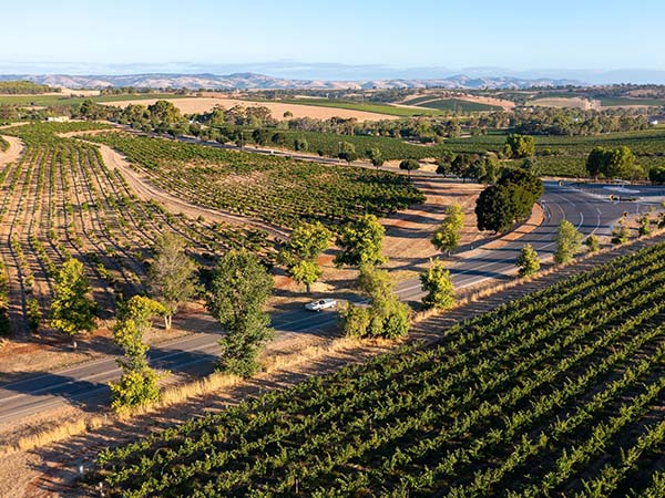 Aerial view of Barossa Valley wineries, SA