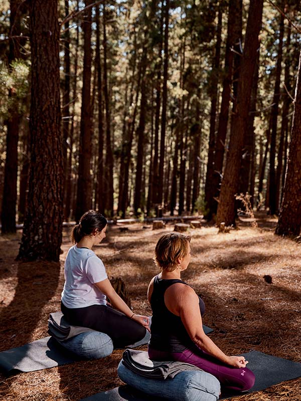 Yoga session in the forest, Barossa Valley, SA