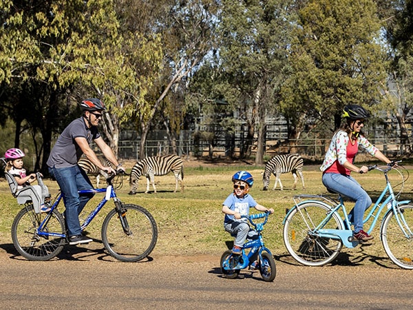 Ποδηλασία, Taronga Western Plains Zoo, Dubbo, NSW, Αυστραλία