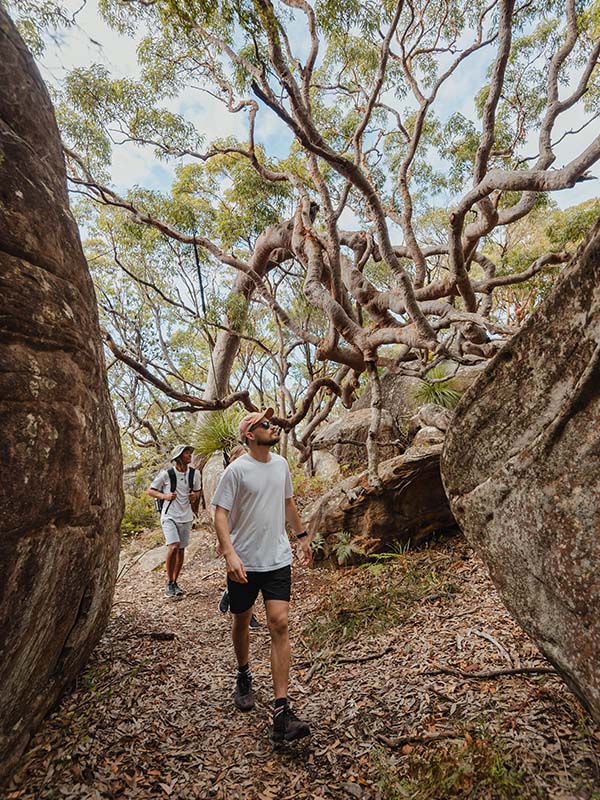 Ένας άντρας περπατά μέσα από τους θάμνους στην κεντρική ακτή της Αυστραλίας