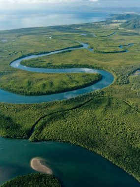 Top 6 Daintree River Cruises To See A Croc - Australian Traveller