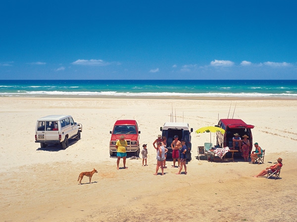 4WDs and a dingo. (Image: Tourism and Events Queensland)