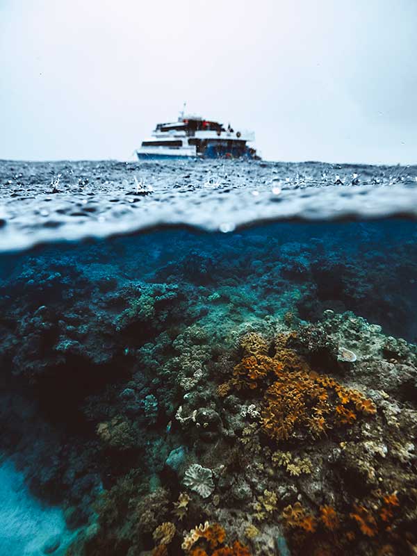 Dreamtime Dive and Snorkel, Tropical North Queensland