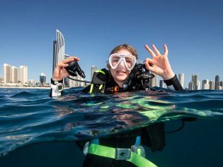 Diving, Gold Coast Wonder Reef, QLD, Australia
