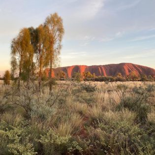 Uluru at sunrise