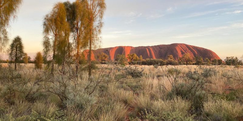 Uluru at sunrise