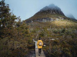 Walk in Cradle Mountain National Park