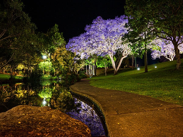 Park, Jacaranda, Clarence Valley, NSW, Αυστραλία