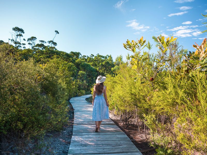 Wallum walkways, Kingfisher Bay Resort, Queensland, Australia