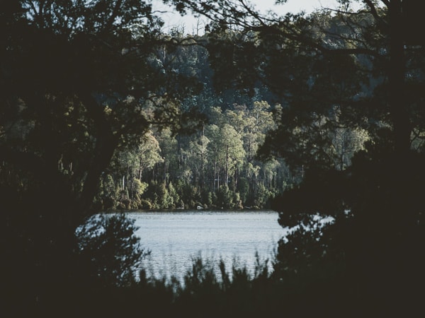 Θέα στη λίμνη St Clair Cradle Mountain
