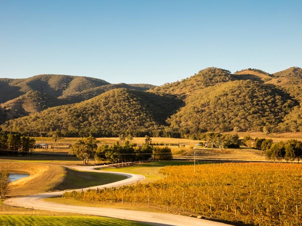 the scenic landscape in Logan Wines, Mudgee