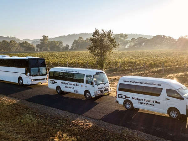 vehicles lined up for Mudgee Wine & Country Tours