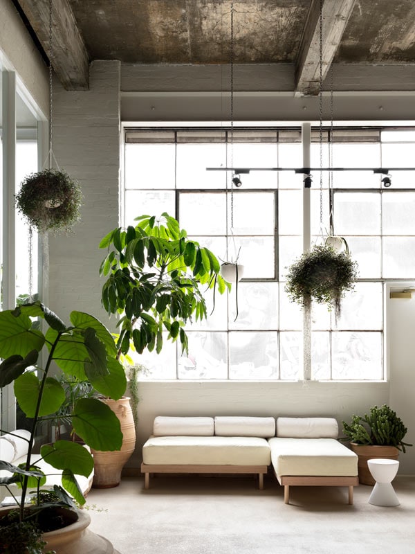 Καναπές και φυτά γεμίζουν την αίθουσα αναμονής στο Sense of Self.  (Εικόνα: Martina Gemmola)
