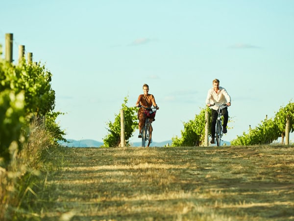 a couple cycling around he scenic vineyards with Tour De Vines, Mudgee