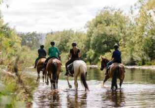 7 memorable things to do in Cradle Mountain (that aren’t hiking)