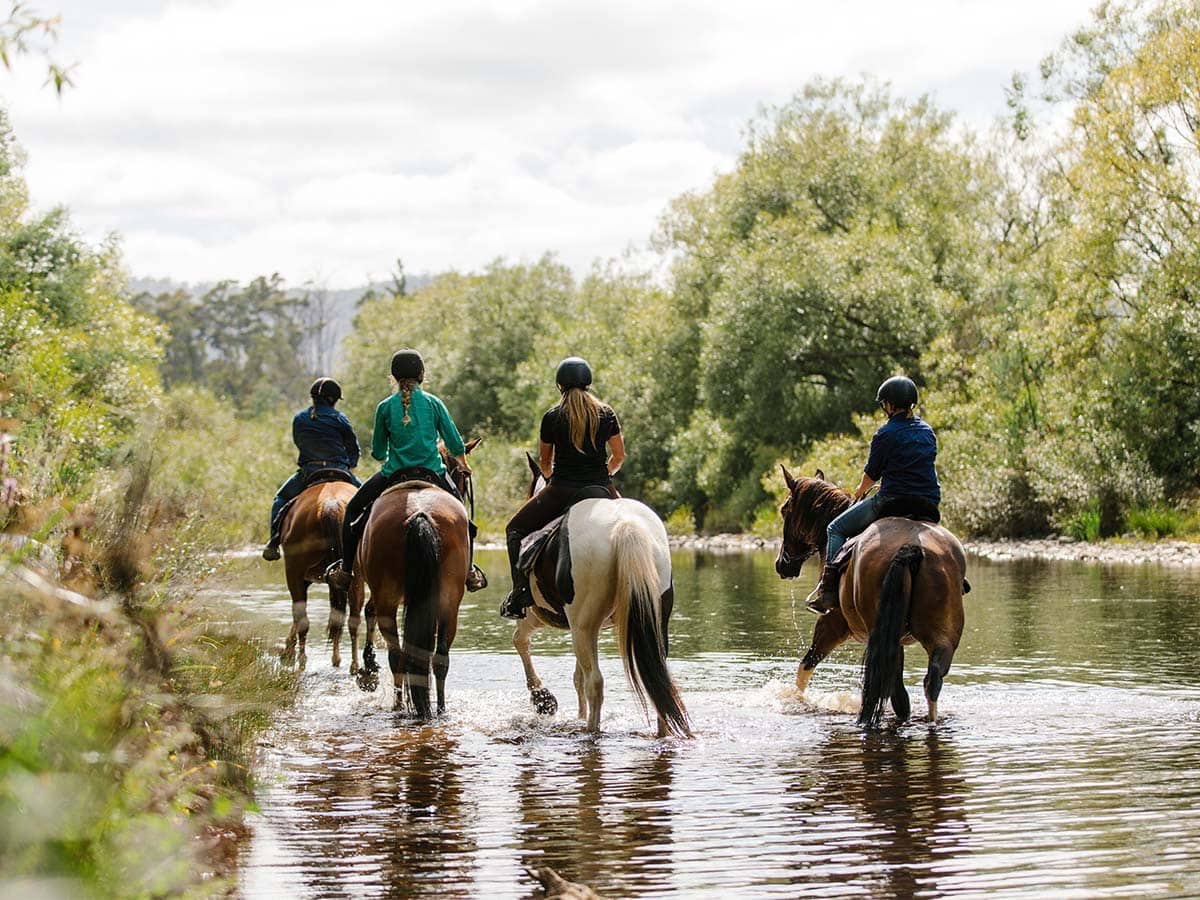 7 memorable things to do in Cradle Mountain (that aren’t hiking)