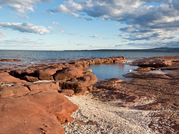 a rocky shore along Bar Beach, Merimbula