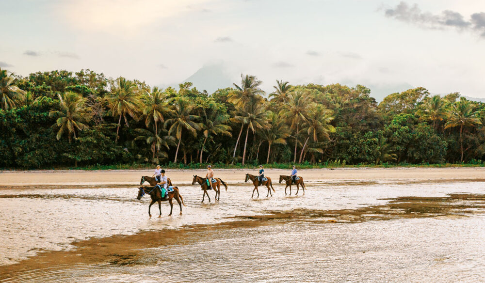 riding horses along Myall Beach, Cape Tribulation