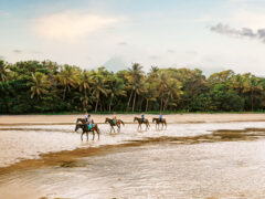 riding horses along Myall Beach, Cape Tribulation