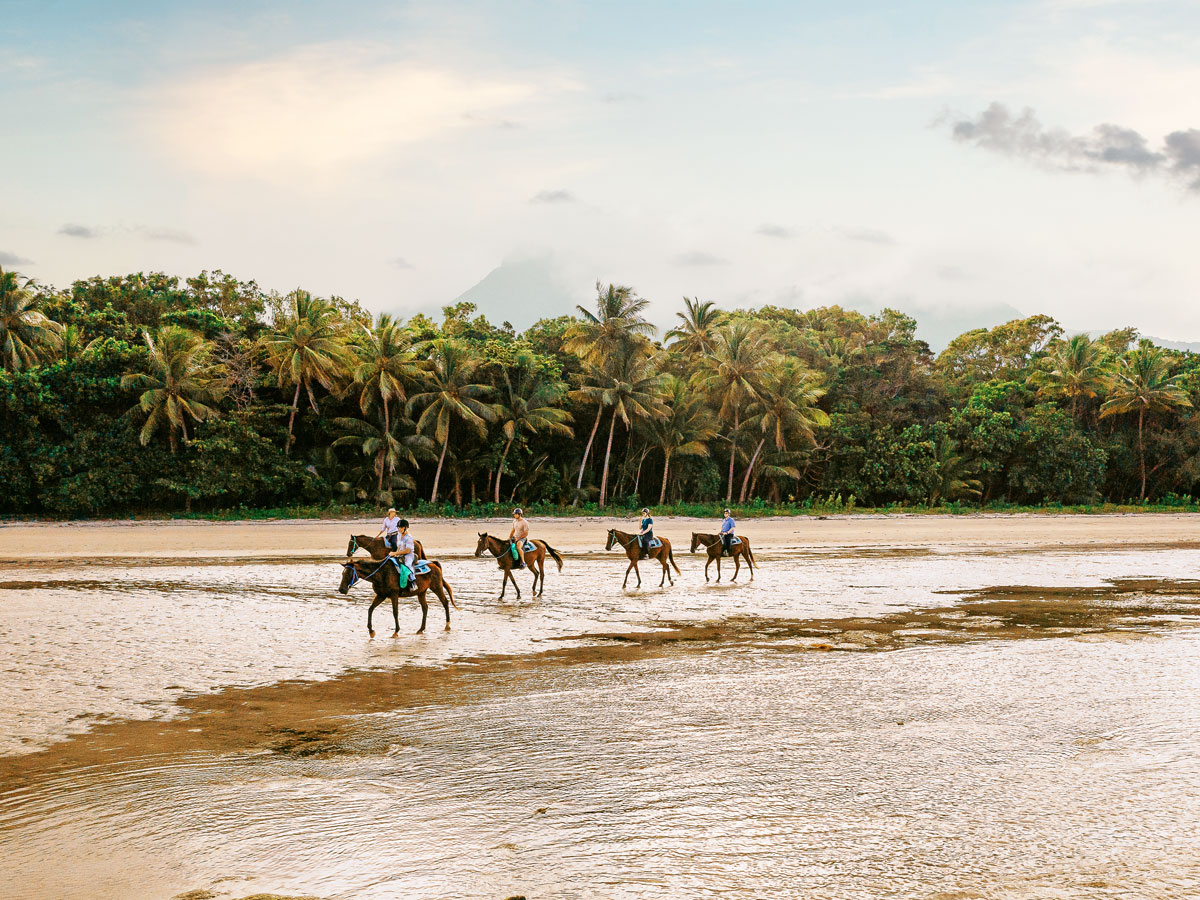 riding horses along Myall Beach, Cape Tribulation