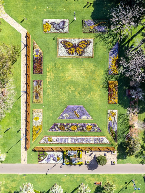 Toowoomba Carnival of Flowers in Queensland