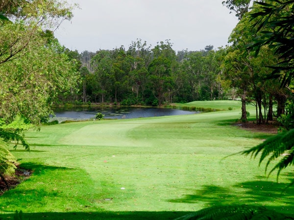 the greenery at Pambula Merimbula Golf Club, Merimbula Lake