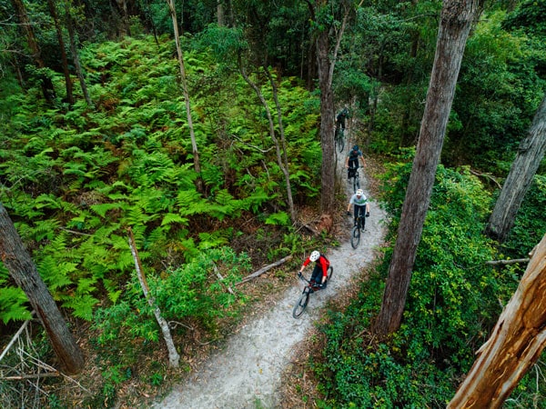 biking in a forest at Gravity Eden Mountain Bike Park in Nullica State Forest