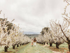 CherryHill Orchards in the Yarra Valley, VIC