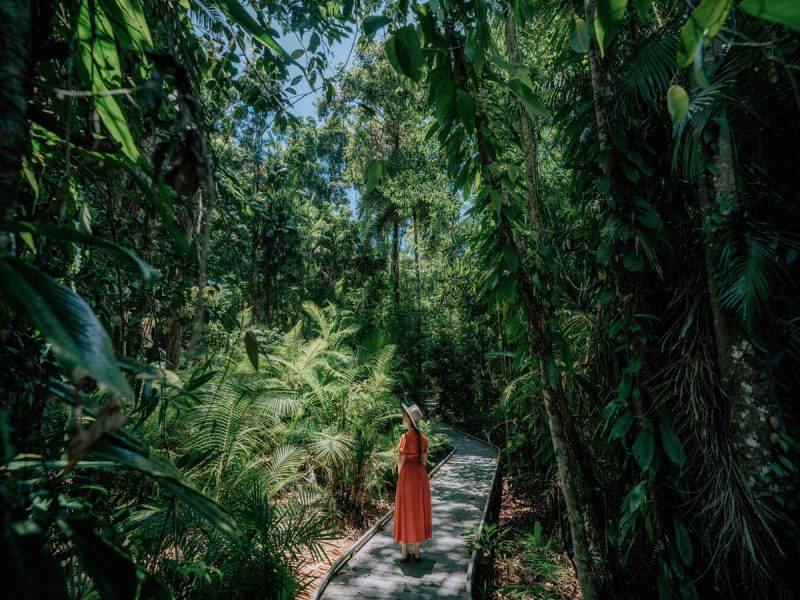 Woman stands on Marrdja Boardwalk between lush foliage in the Daintree Rainforest. (Image: Tourism and Events Queensland and Emilie Ristevski)