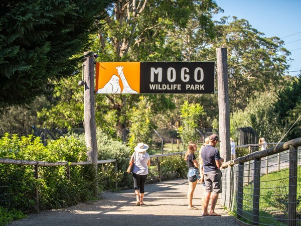 the entrance of Mogo Wildlife Park