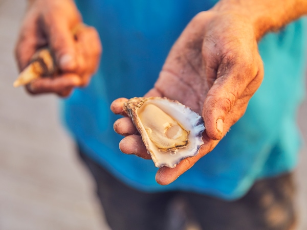 a farmer holding an opened fresh oyster at The Oyster Shed, Batemans Bay