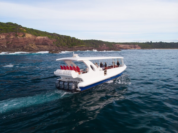 the boat of Sapphire Coastal Adventures roaming at sea in Merimbula