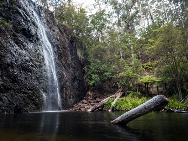 Boundary Falls in the Gibraltar Range National Park in Glen Innes, NSW, Australia