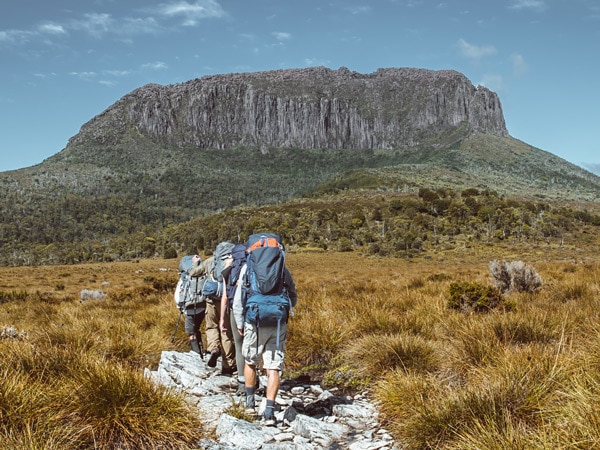 A wide view of a group of hikers walking down the Overland Track in Tasmania, Australia