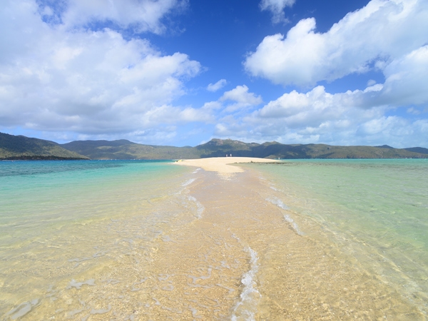 The clear waters of Langford Island, near Hayman Island in the northern Whitsundays, Australia