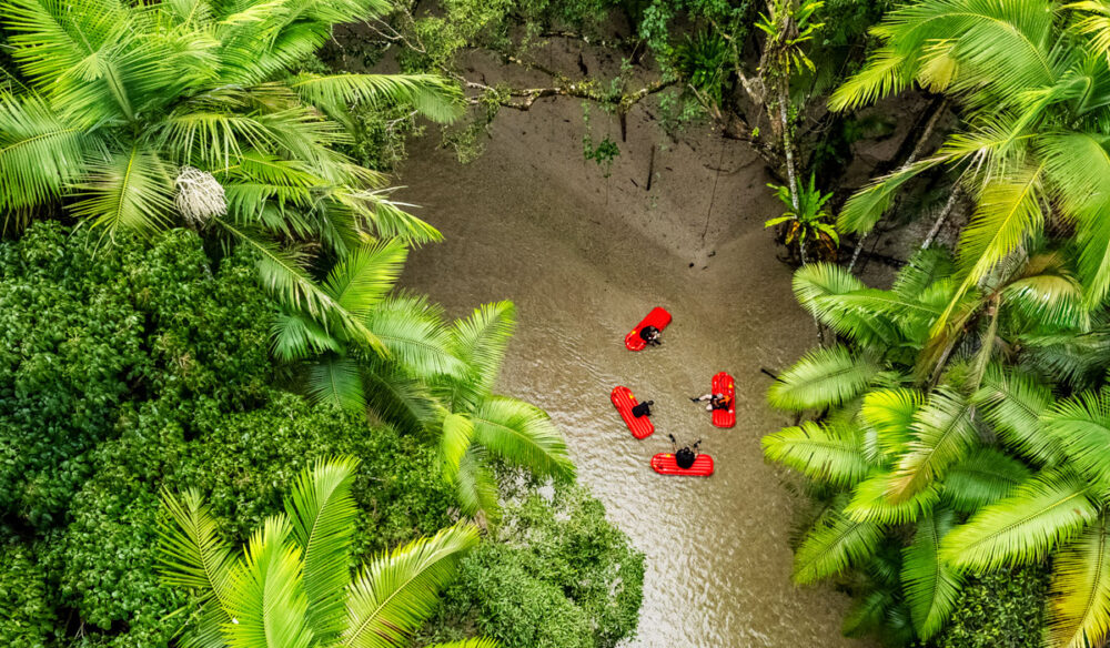 the River Drift Experience at Daintree river