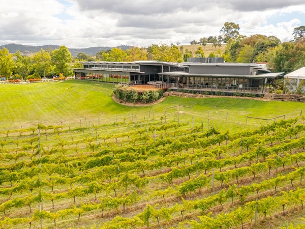 the vineyard at the Balgownie Estate in Yarra Valley