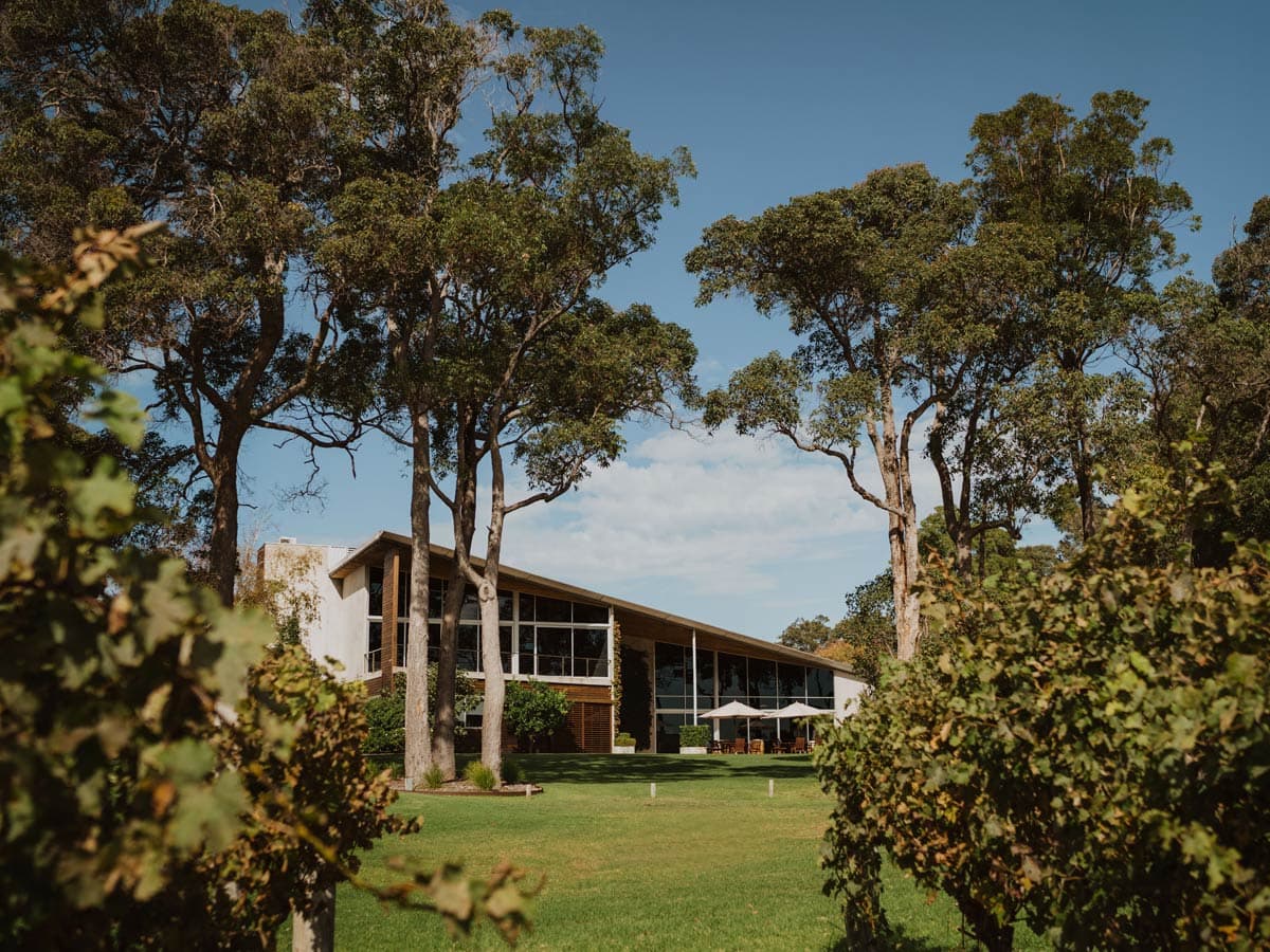 Margaret River Winery Tours, Dog Friendly